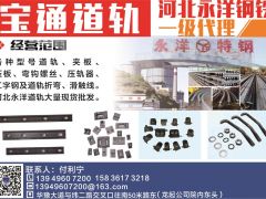 寶通道軌河北永洋鋼鐵一級代理已加入《起重匯采購指南》！