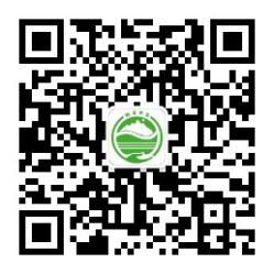 圖片1